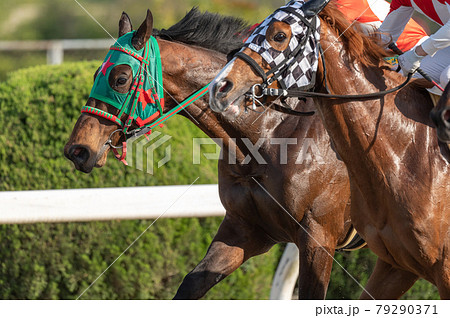 佐賀競馬 佐賀競馬 79290371