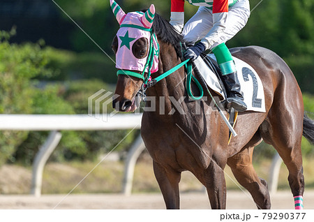 佐賀競馬 79290377