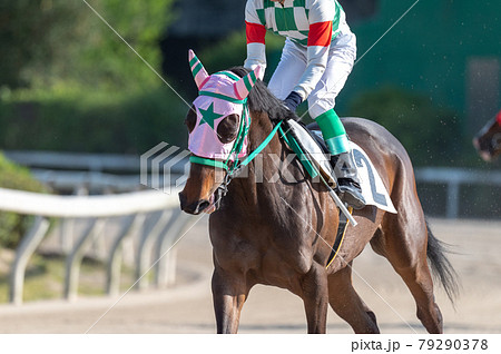 佐賀競馬 佐賀競馬 79290378