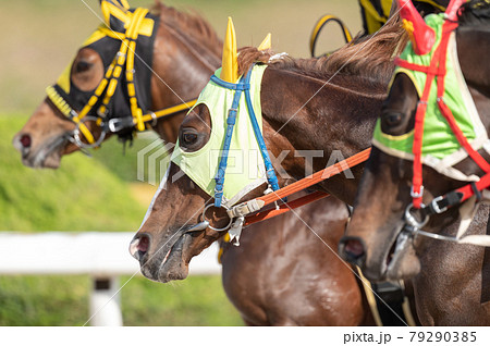 佐賀競馬 佐賀競馬 79290385