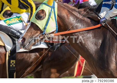 佐賀競馬 79290386