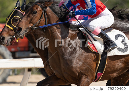 佐賀競馬 佐賀競馬 79290400