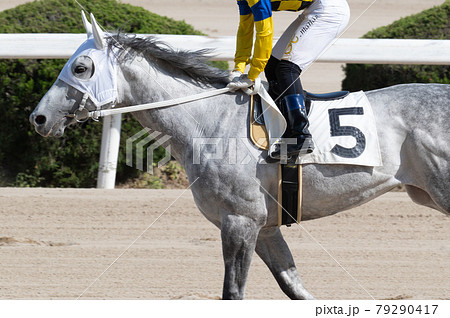 佐賀競馬 79290417