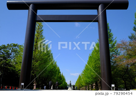 靖国神社・大鳥居 79290454