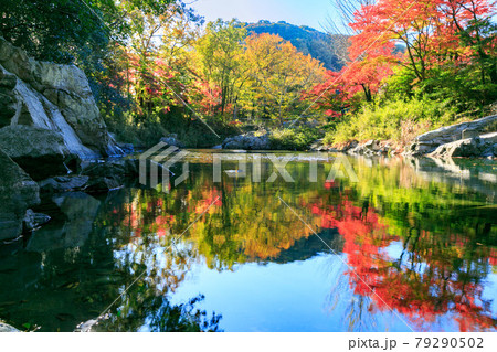 埼玉県嵐山町 武蔵の小京都 嵐山渓谷の紅葉の写真素材