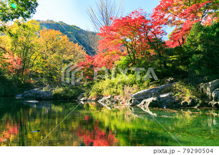 埼玉県嵐山町　武蔵の小京都　嵐山渓谷の紅葉 79290504