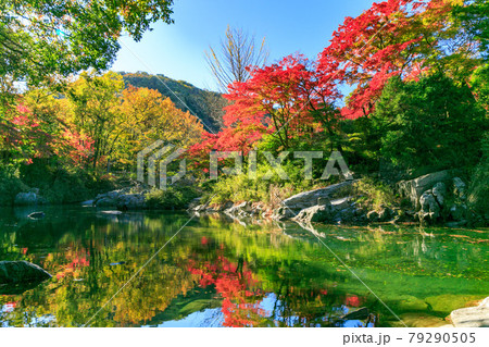 埼玉県嵐山町　武蔵の小京都　嵐山渓谷の紅葉 79290505