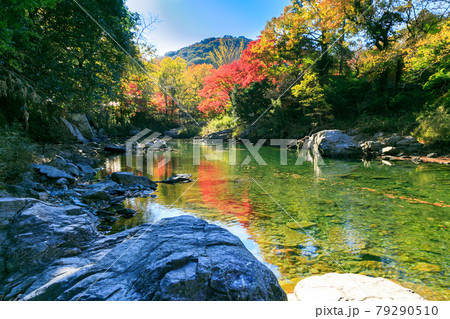 埼玉県嵐山町 武蔵の小京都 嵐山渓谷の紅葉 埼玉県嵐山町 武蔵の小京都 嵐山渓谷の紅葉 79290510