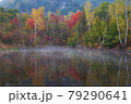 乗鞍の紅葉 79290641
