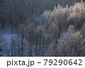 北海道のダイヤモンドダストの朝 79290642