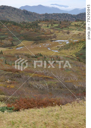 火打山に至る登山道から見た天狗の庭 火打山に至る登山道から見た天狗の庭 79290845