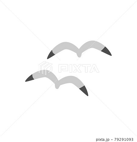 二羽のカモメのイラスト 二羽のカモメのイラスト 79291093