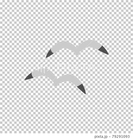 二羽のカモメのイラスト 二羽のカモメのイラスト 79291093