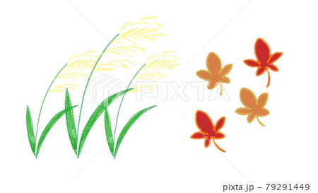 すすきと紅葉のイラストのイラスト素材