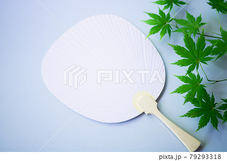 暑中見舞い・うちわ型本画仙と青楓 79293318