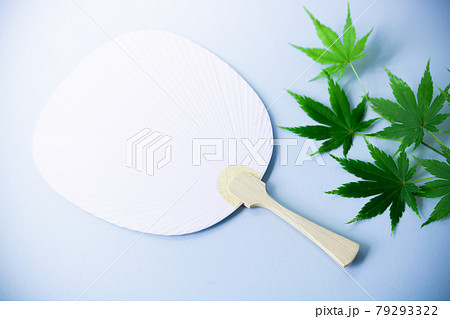 暑中見舞い・うちわ型本画仙と青楓 79293322