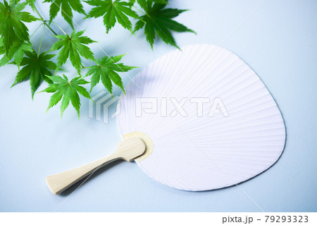 暑中見舞い・うちわ型本画仙と青楓 暑中見舞い・うちわ型本画仙と青楓 79293323