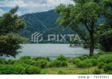 滋賀県長浜市の余呉湖の初夏の風景です 79293921