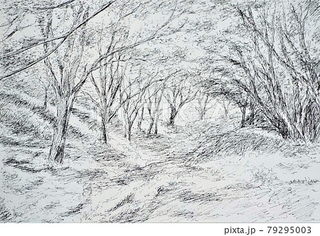 森の中の小道のイラスト素材 [79295003] - PIXTA