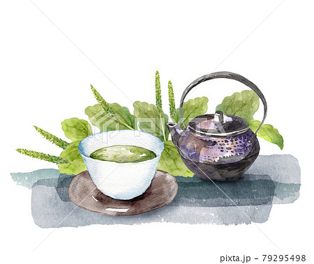 オオバコとお茶セットの水彩画 オオバコとお茶セットの水彩画 79295498