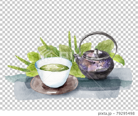 オオバコとお茶セットの水彩画 オオバコとお茶セットの水彩画 79295498