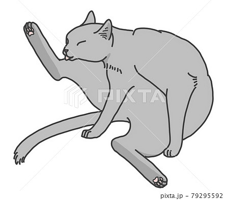 毛づくろいする猫のイラスト素材
