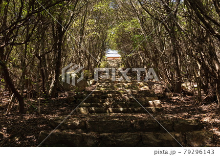 荘内半島 三崎神社の石段 (香川県三豊市) 荘内半島 三崎神社の石段 (香川県三豊市) 79296143