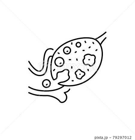 Ovulation olor line icon. Female reproductive system. Pictogram for web page, mobile app, promo. 79297012