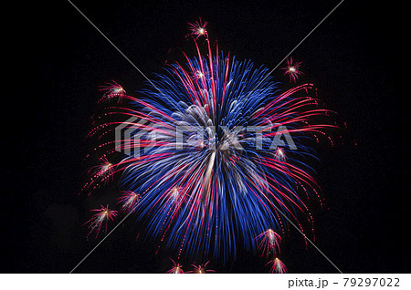 赤川花火大会で撮影した打ち上げ花火（小割物万華鏡青赤） 79297022