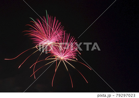 赤川花火大会で撮影した打ち上げ花火 型物紅蓮華二輪 の写真素材