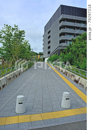 水戸市役所庁舎と周辺の街並み 水戸市役所庁舎と周辺の街並み 79297318