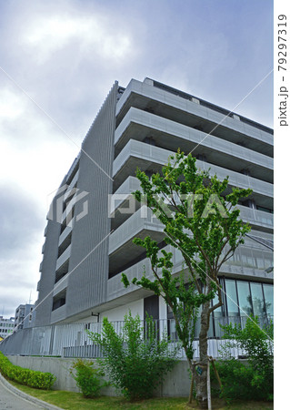 水戸市役所庁舎と周辺の街並み 水戸市役所庁舎と周辺の街並み 79297319