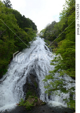 ≪栃木県≫初夏の奥日光 湯滝と新緑 ≪栃木県≫初夏の奥日光 湯滝と新緑 79297320