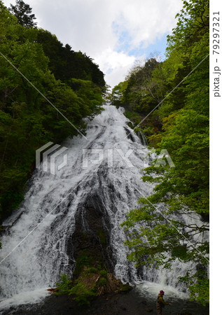 ≪栃木県≫初夏の奥日光　湯滝と新緑と釣り人 79297321