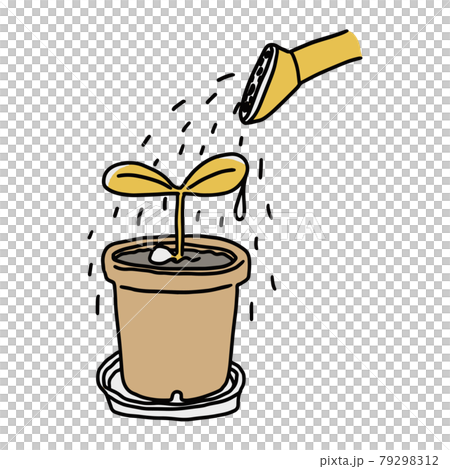 鉢に出た芽に水をやっているイラスト 79298312
