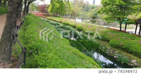 Holiday scenery at Wangsong Lake Park Holiday scenery at Wangsong Lake Park 79298972