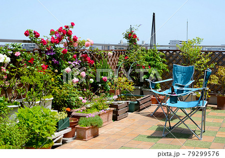 青空の下、バラ満開のルーフバルコニー　お外リビングで素敵な休日 79299576