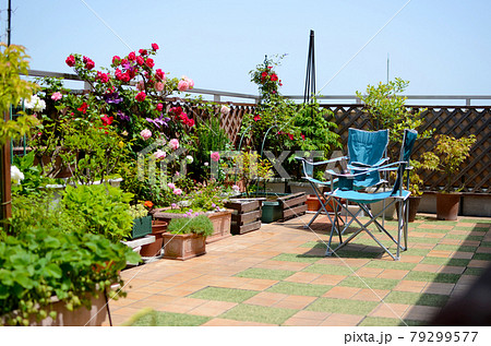 青空の下、バラ満開のルーフバルコニー　お外リビングで素敵な休日 79299577