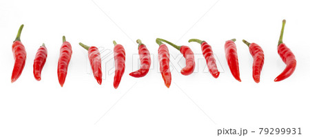 close up row line composition chilli red peppers isolated on white background close up row line composition chilli red peppers isolated on white background 79299931