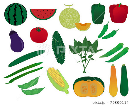 夏野菜のセット素材のイラスト素材