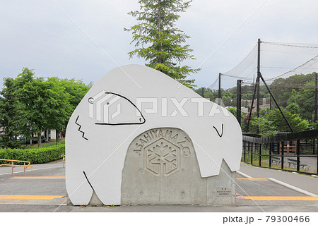 【北海道旭川市】旭山動物園・園内 79300466