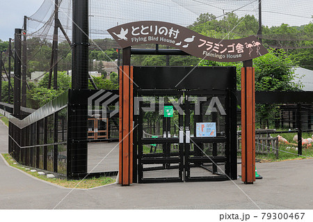 【北海道旭川市】旭山動物園・ととりの村とフラミンゴ舎 79300467