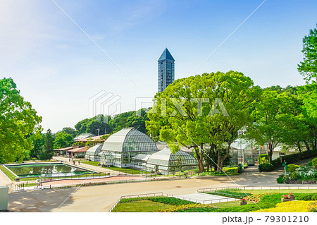 東山植物園にある日本最古の公共温室、温室前館〈愛知県名古屋市〉 東山植物園にある日本最古の公共温室、温室前館〈愛知県名古屋市〉 79301210