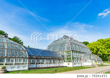 東山植物園にある日本最古の公共温室、温室前館〈愛知県名古屋市〉 79301455