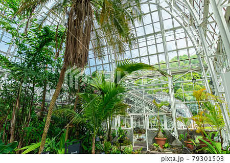 東山植物園にある日本最古の公共温室 温室前館 愛知県名古屋市 の写真素材