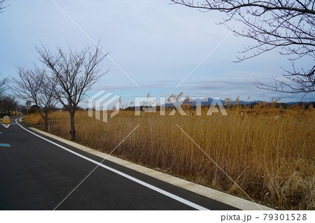 鉄道の廃線跡を利用した自転車道の様子 79301528
