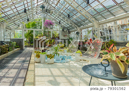 東山植物園にある日本最古の公共温室、温室前館〈愛知県名古屋市〉 東山植物園にある日本最古の公共温室、温室前館〈愛知県名古屋市〉 79301562