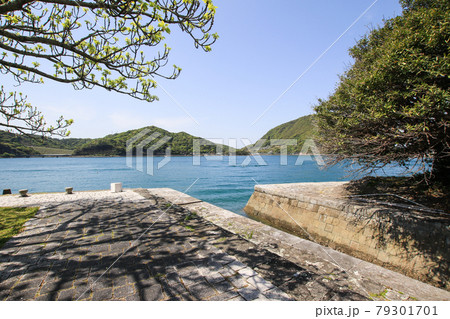 三角西港 79301701