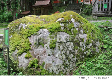 花巻市東和町パワースポット 丹内山神社 境内の風景 源義家弓射場跡 花巻市東和町パワースポット 丹内山神社 境内の風景 源義家弓射場跡 79303087