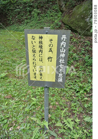 花巻市東和町パワースポット 丹内山神社の七不思議 その五 竹 花巻市東和町パワースポット 丹内山神社の七不思議 その五 竹 79303088